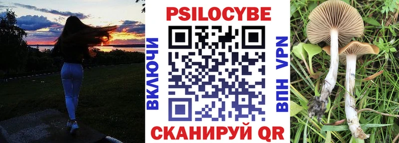 Псилоцибиновые грибы прущие грибы  Купить  Донецк 
